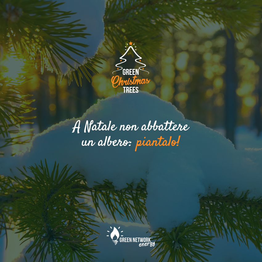 GREEN NETWORK ENERGY: PARTE L’INIZIATIVA “GREEN CHRISTMAS TREES”